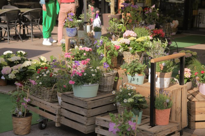 Un Jardin dans ma Ville - Édition 2025 photo 5